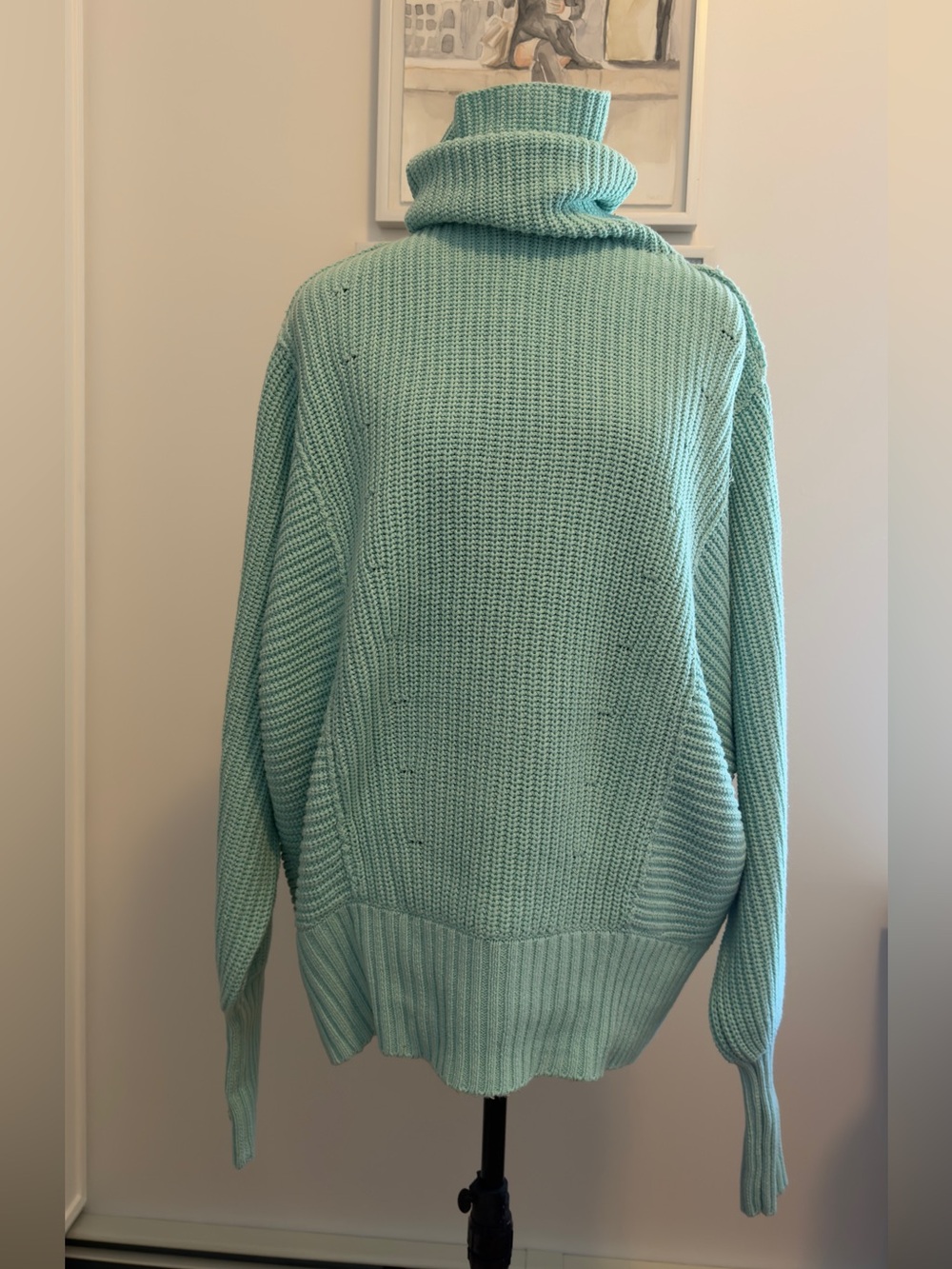 Free People Mint Green Chunky Turtleneck Sweater